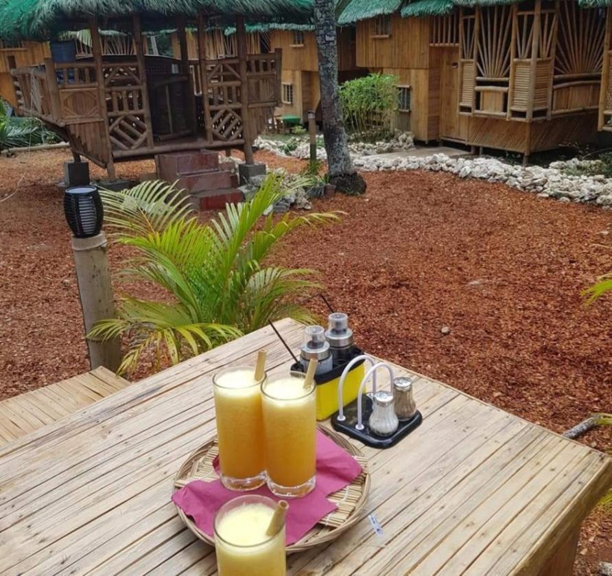 Nirvana Resort & Dive Centre - Moalboal Eksteriør bilde