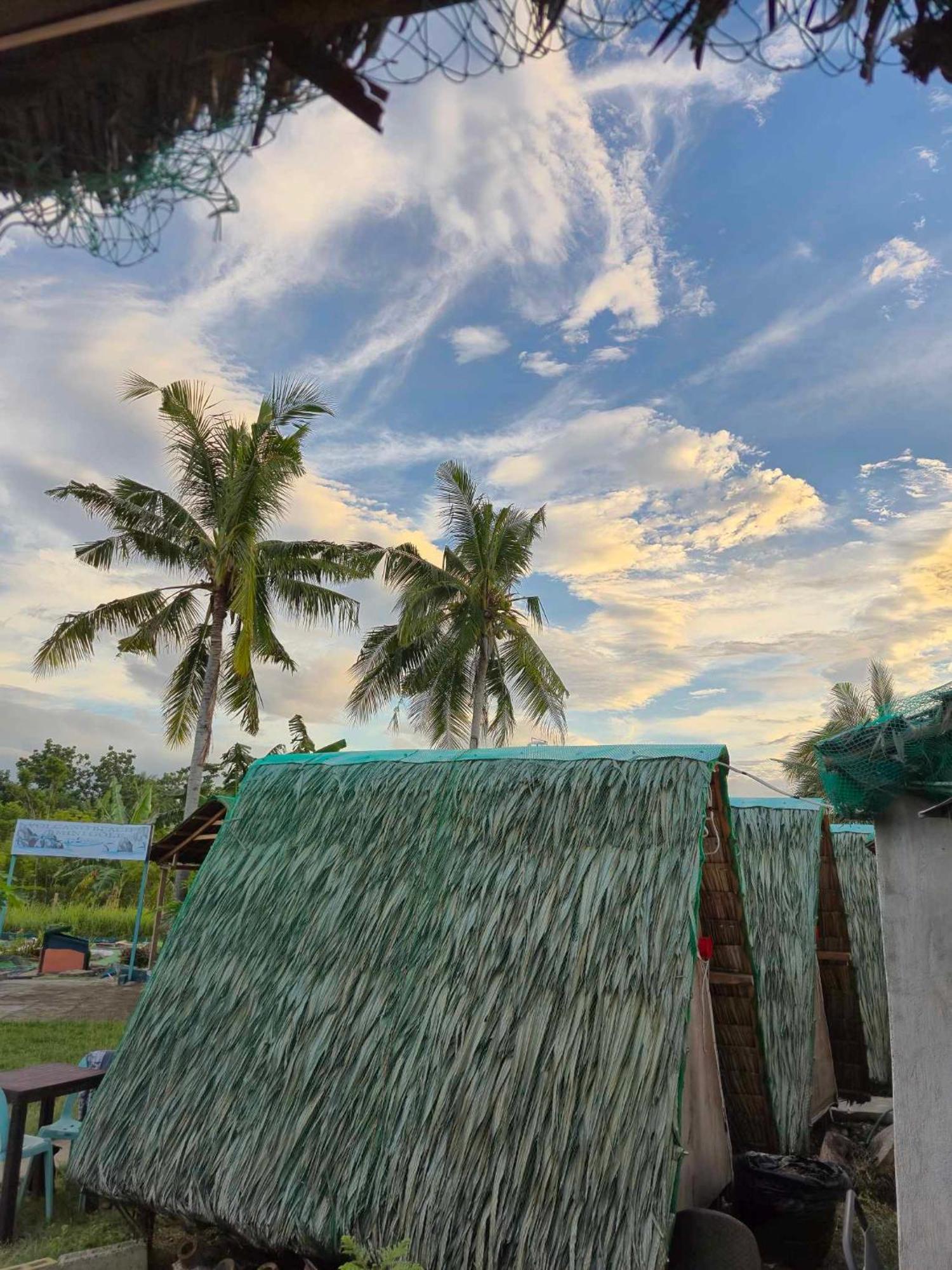 Nirvana Resort & Dive Centre - Moalboal Eksteriør bilde